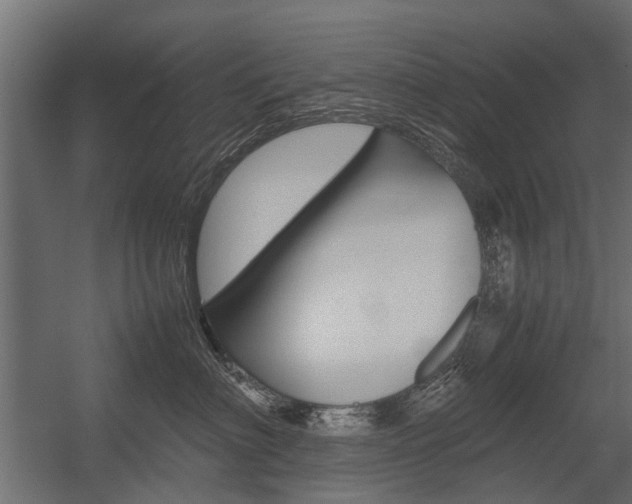 X0000054370622200507290832