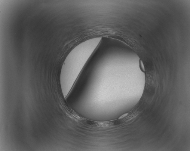 X0000054370623200507290832