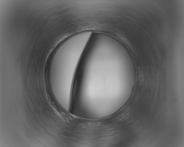 X0000054370626200507290832
