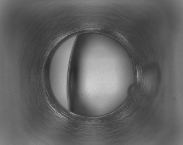 X0000054370627200507290832
