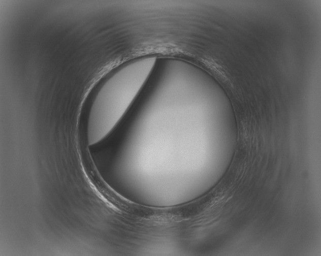 X0000054370630200507290832