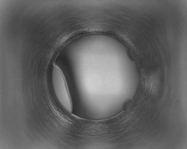 X0000054370631200507290832