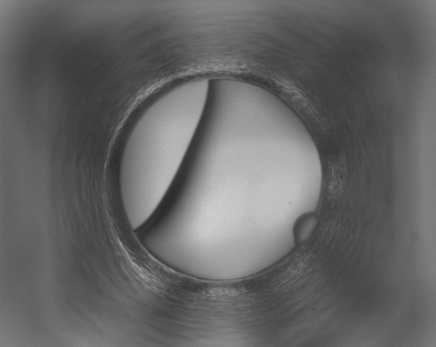 X0000054370636200507290832