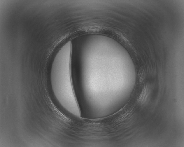 X0000054370637200507290832
