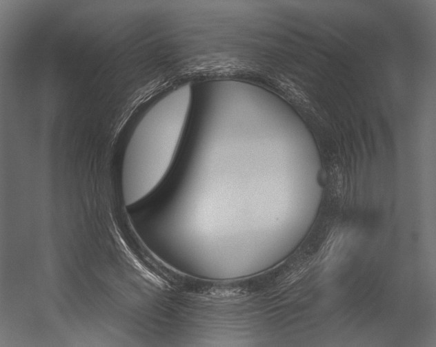 X0000054370638200507290832