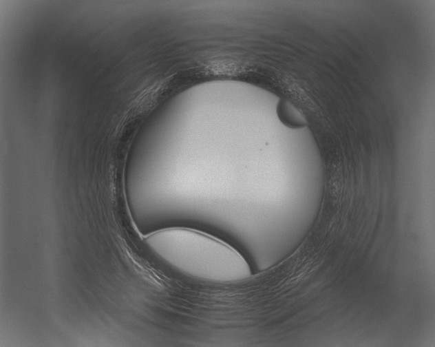 X0000054370639200507290832
