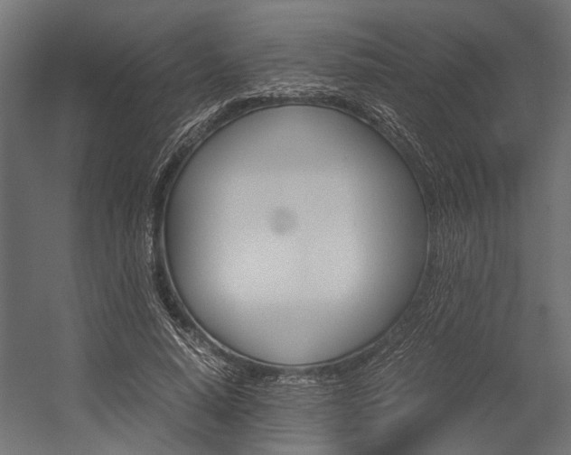 X0000054370640200507290832