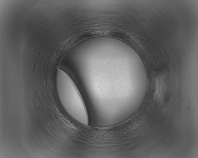 X0000054370641200507290832