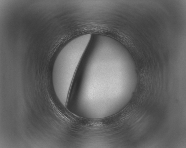 X0000054370642200507290832