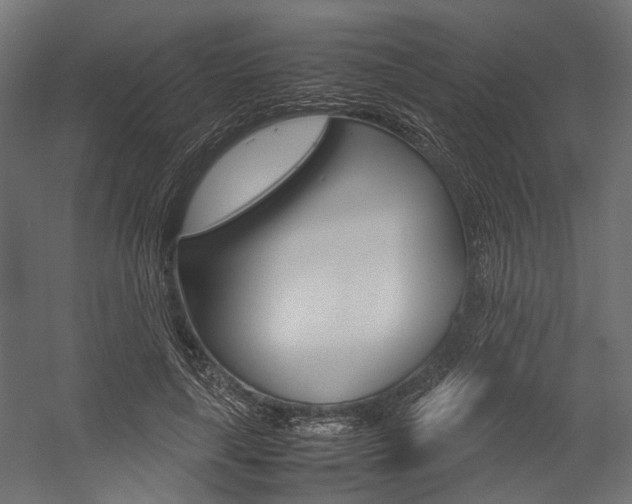 X0000054370643200507290832