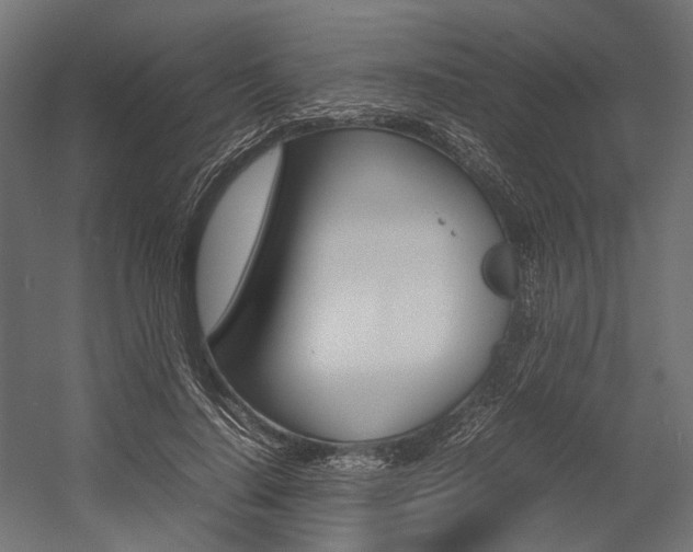 X0000054370644200507290832