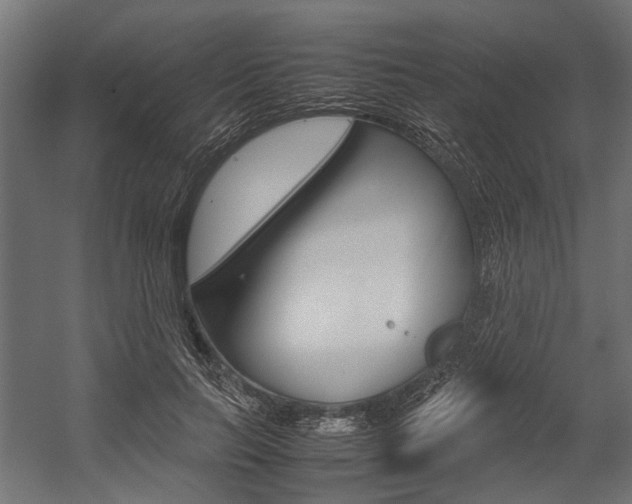 X0000054370647200507290832