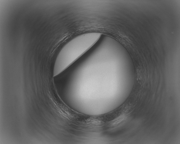 X0000054370648200507290832