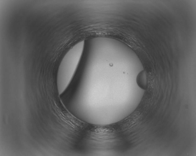 X0000054370650200507290832
