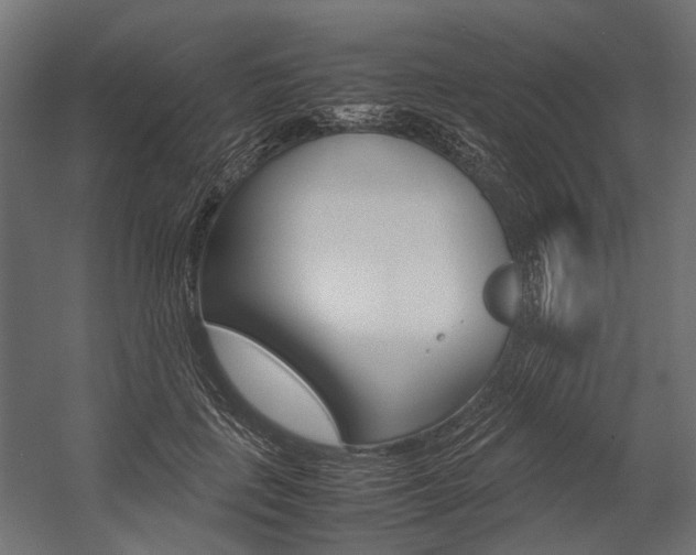 X0000054370651200507290832
