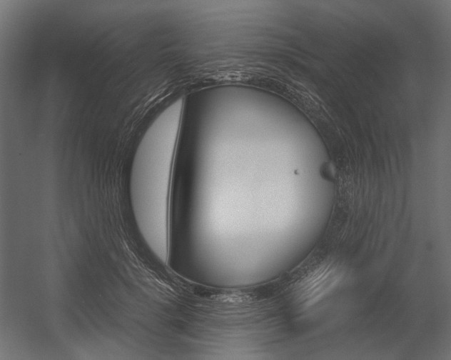 X0000054370652200507290832