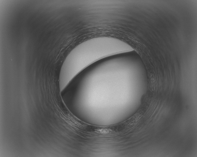 X0000054370654200507290832
