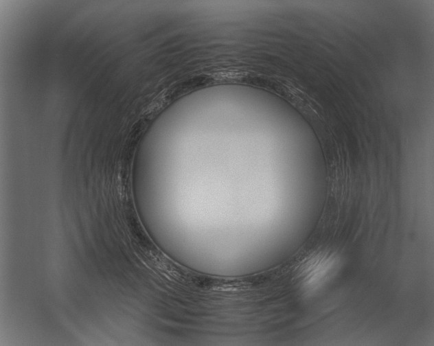 X0000054370655200507290832