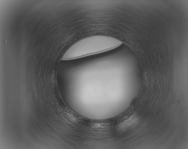 X0000054370657200507290832