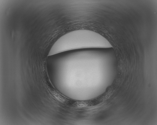 X0000054370658200507290832
