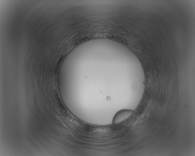 X0000054370659200507290832
