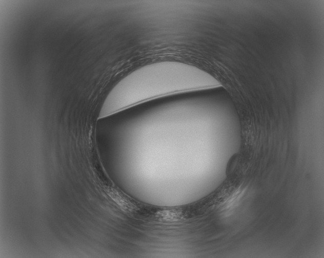 X0000054370660200507290832