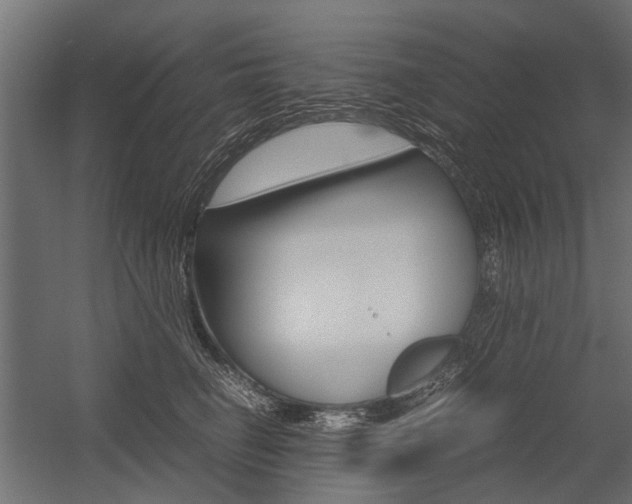 X0000054370662200507290832