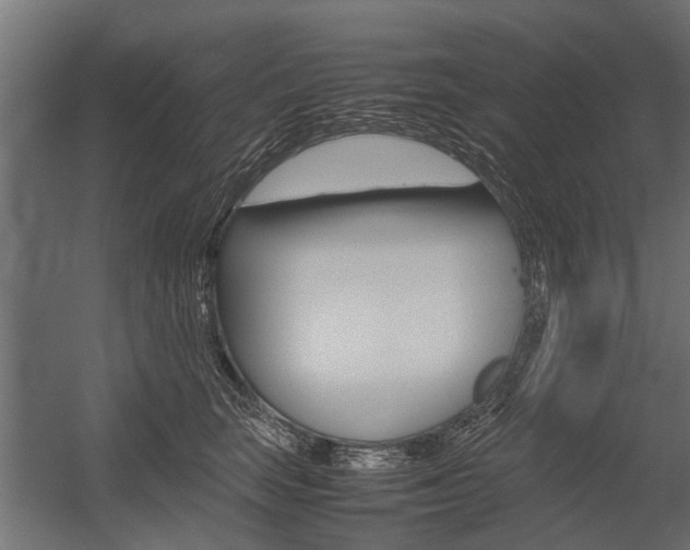 X0000054370663200507290832