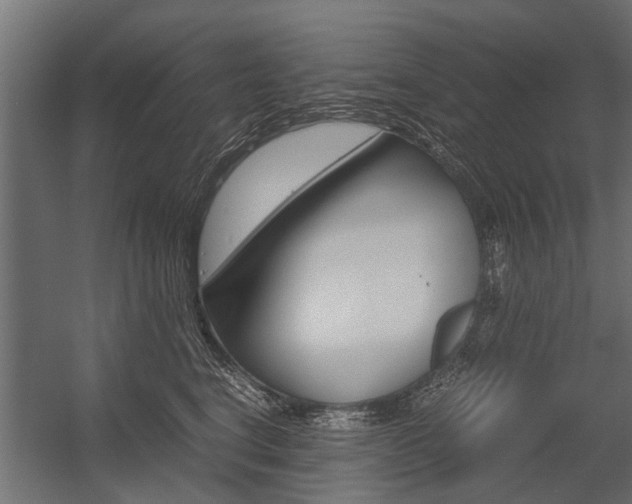 X0000054370664200507290832