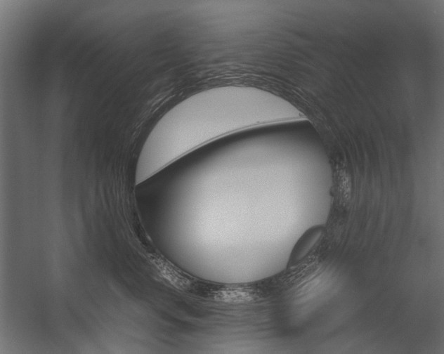 X0000054370668200507290832