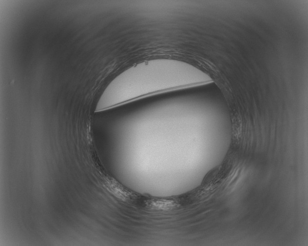 X0000054370669200507290832