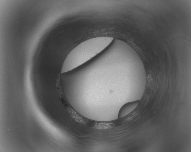 X0000054370671200507290832