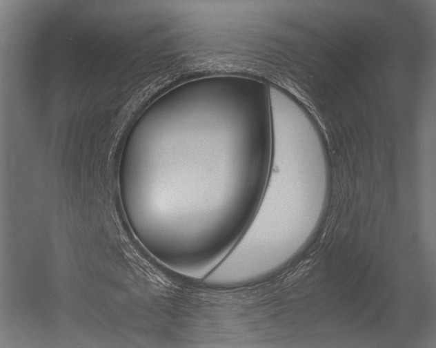 X0000054370673200507290831