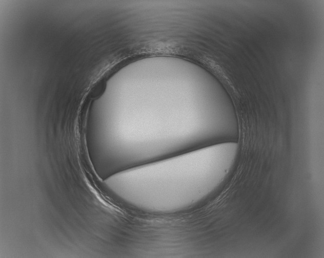 X0000054370674200507290831