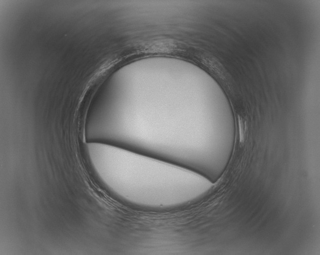 X0000054370675200507290831