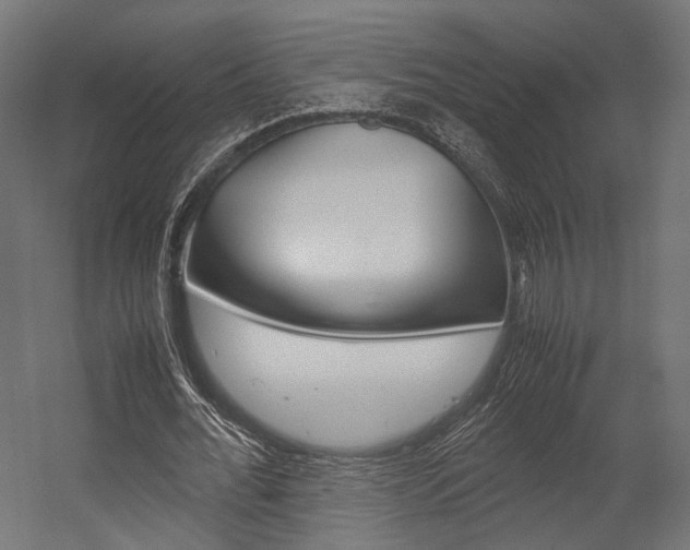 X0000054370676200507290831