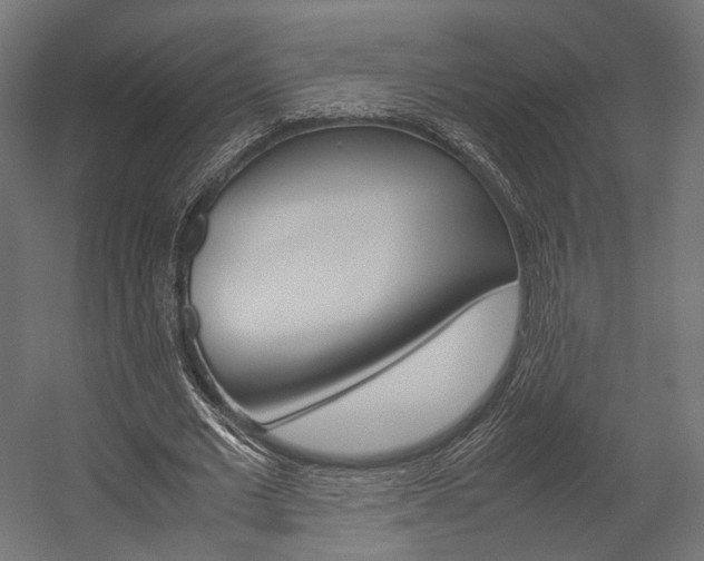 X0000054370677200507290831