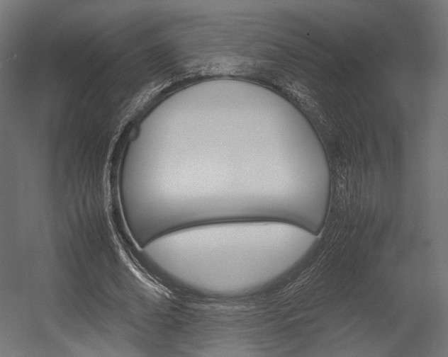 X0000054370678200507290831