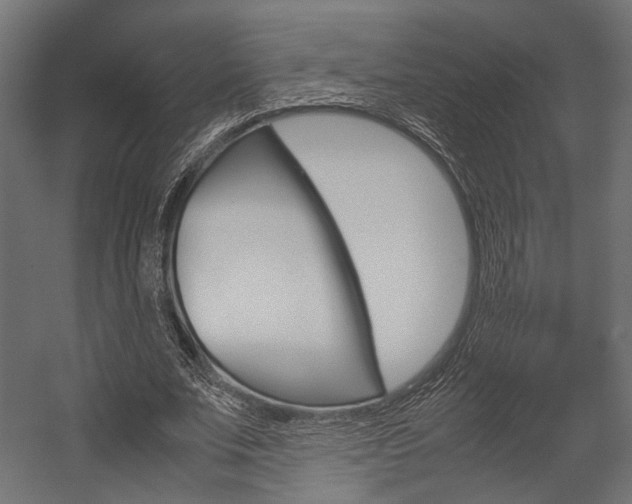 X0000054370679200507290831