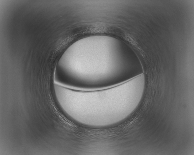 X0000054370681200507290831