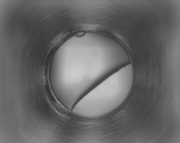 X0000054370682200507290831