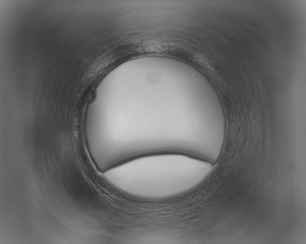 X0000054370683200507290831