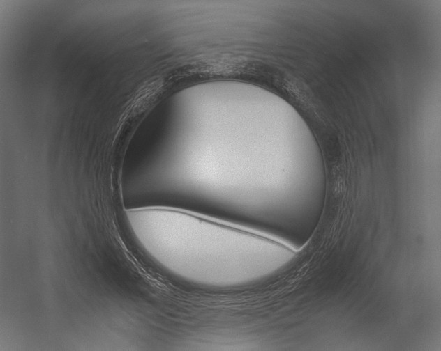 X0000054370685200507290831