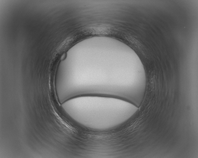 X0000054370686200507290831