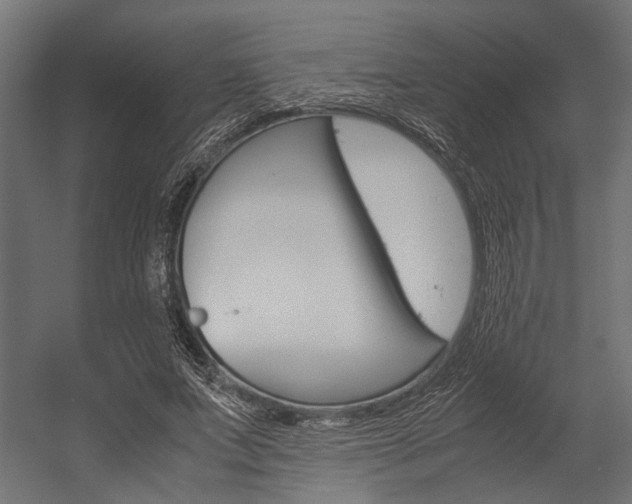 X0000054370687200507290831