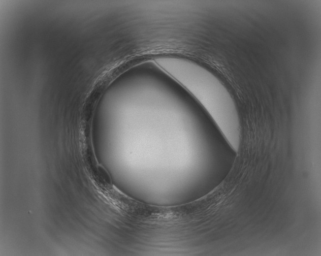X0000054370688200507290831
