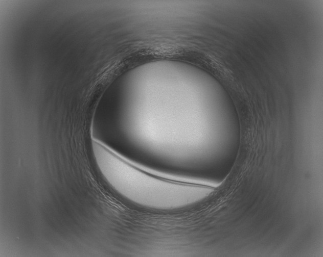 X0000054370689200507290831