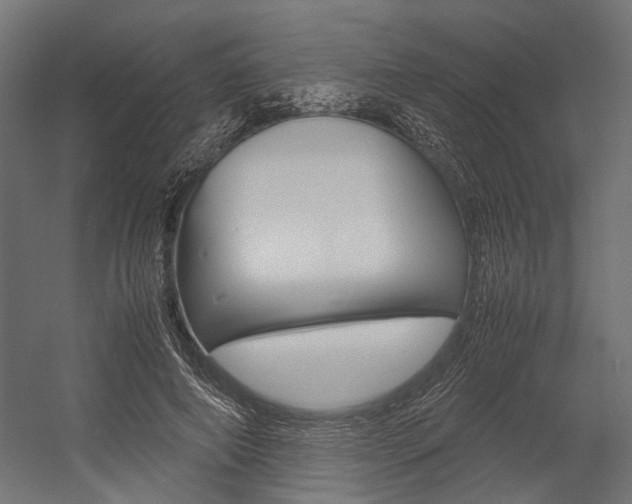 X0000054370690200507290831