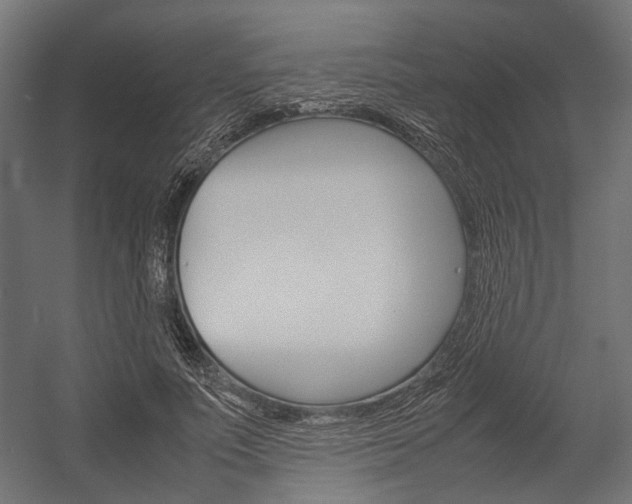 X0000054370691200507290831
