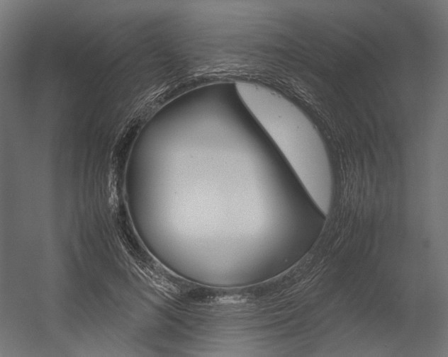 X0000054370692200507290831